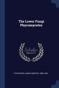 bokomslag The Lower Fungi Phycomycetes