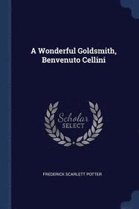 bokomslag A Wonderful Goldsmith, Benvenuto Cellini