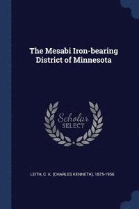 bokomslag The Mesabi Iron-bearing District of Minnesota