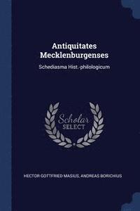 bokomslag Antiquitates Mecklenburgenses