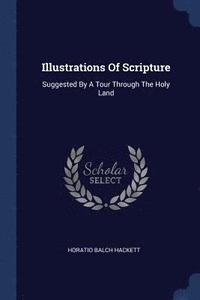 bokomslag Illustrations Of Scripture