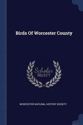 Birds Of Worcester County 1