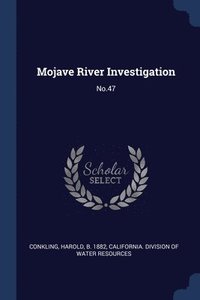 bokomslag Mojave River Investigation
