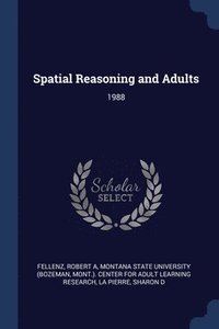 bokomslag Spatial Reasoning and Adults