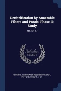 bokomslag Denitrification by Anaerobic Filters and Ponds, Phase II