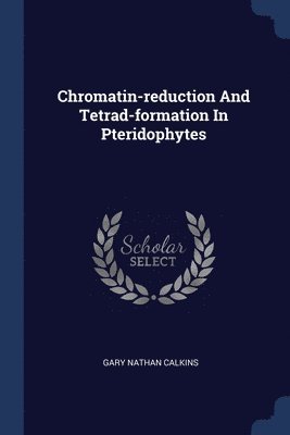 Chromatin-reduction And Tetrad-formation In Pteridophytes 1
