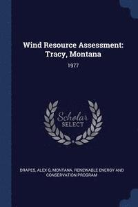 bokomslag Wind Resource Assessment