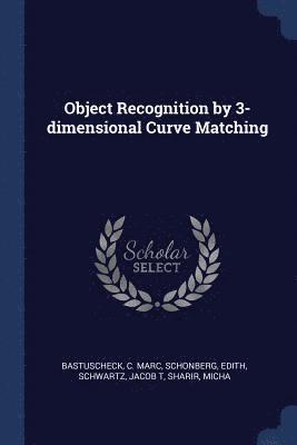 Object Recognition by 3-dimensional Curve Matching
