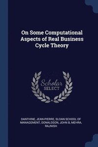 bokomslag On Some Computational Aspects of Real Business Cycle Theory