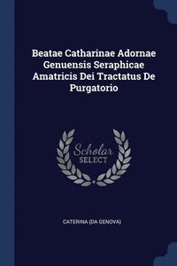 bokomslag Beatae Catharinae Adornae Genuensis Seraphicae Amatricis Dei Tractatus De Purgatorio