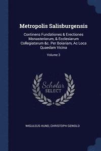 bokomslag Metropolis Salisburgensis