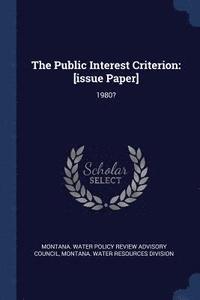 bokomslag The Public Interest Criterion