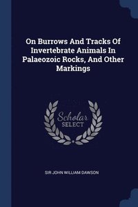bokomslag On Burrows And Tracks Of Invertebrate Animals In Palaeozoic Rocks, And Other Markings