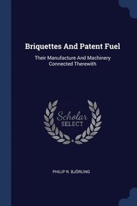 bokomslag Briquettes And Patent Fuel