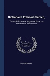bokomslag Dictionaire Francois-flamen,