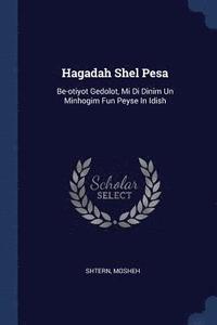 bokomslag Hagadah Shel Pesa