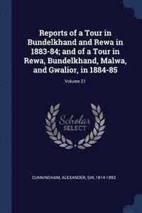 bokomslag Reports of a Tour in Bundelkhand and Rewa in 1883-84; and of a Tour in Rewa, Bundelkhand, Malwa, and Gwalior, in 1884-85; Volume 21