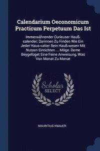 bokomslag Calendarium Oeconomicum Practicum Perpetuum Das Ist