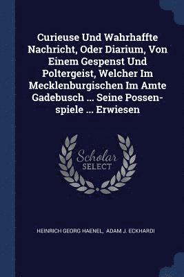 Curieuse Und Wahrhaffte Nachricht, Oder Diarium, Von Einem Gespenst Und Poltergeist, Welcher Im Mecklenburgischen Im Amte Gadebusch ... Seine Possen-spiele ... Erwiesen 1