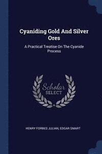 bokomslag Cyaniding Gold And Silver Ores