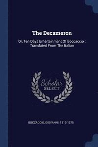 bokomslag Decameron