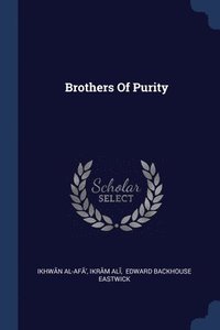 bokomslag Brothers Of Purity