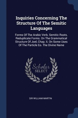 bokomslag Inquiries Concerning The Structure Of The Semitic Languages