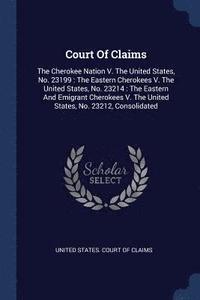bokomslag Court Of Claims