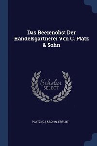 bokomslag Das Beerenobst Der Handelsgrtnerei Von C. Platz & Sohn