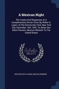 bokomslag A Mexican Night