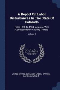 bokomslag A Report On Labor Disturbances In The State Of Colorado