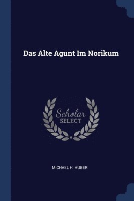 Das Alte Agunt Im Norikum 1