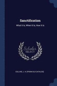 bokomslag Sanctification