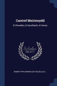 bokomslag Cantref Meirionydd