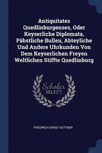 bokomslag Antiquitates Quedlinburgenses, Oder Keyserliche Diplomata, Pbstliche Bullen, Abteyliche Und Andere Uhrkunden Von Dem Keyserlichen Freyen Weltlichen Stiffte Quedlinburg