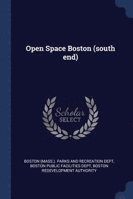 bokomslag Open Space Boston (south end)