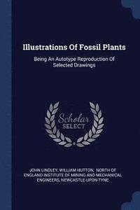 bokomslag Illustrations Of Fossil Plants