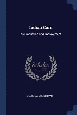 Indian Corn 1