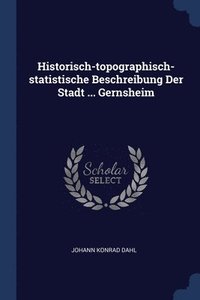 bokomslag Historisch-topographisch-statistische Beschreibung Der Stadt ... Gernsheim