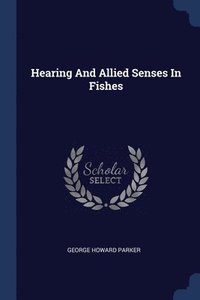 bokomslag Hearing And Allied Senses In Fishes