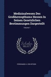 bokomslag Medizinalwesen Des Groherzogthums Hessen In Seinen Gesetzlichen Bestimmungen Dargestellt; Volume 1