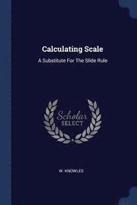 bokomslag Calculating Scale