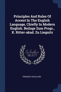 bokomslag Principles And Rules Of Accent In The English Language, Chiefly In Modern English. Beilage Zum Progr., K. Ritter-akad. Zu Liegnitz