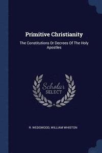 bokomslag Primitive Christianity