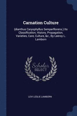 Carnation Culture 1