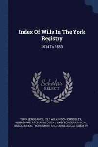 bokomslag Index Of Wills In The York Registry