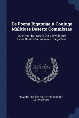 Sigmund Christoph Jester - De Poena Bigamiae A Coniuge Malitiose Deserto Commissae, Häftad