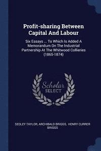 bokomslag Profit-sharing Between Capital And Labour