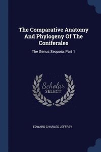 bokomslag The Comparative Anatomy And Phylogeny Of The Coniferales