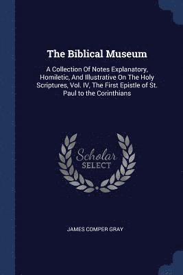 bokomslag The Biblical Museum